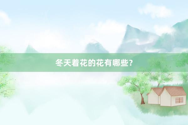 冬天着花的花有哪些？