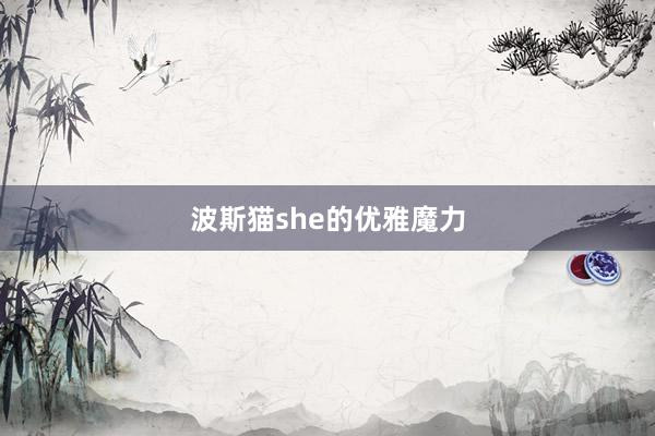 波斯猫she的优雅魔力