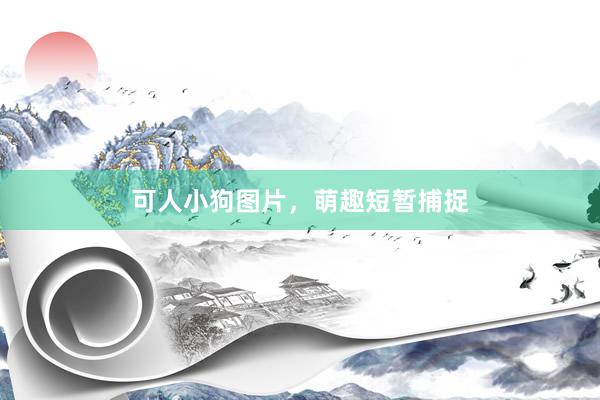 可人小狗图片，萌趣短暂捕捉
